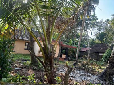 Image of 5227 Sq.ft Residential Plot / Land for sale in East Hill, Kozhikode for Rs. 8400000