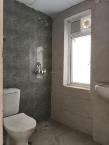 Common Bathroom Image of 750 Sq.ft 2 BHK Apartment / Flat for sale in Amrapali Dream Valley 2, Noida Extension Greater Noida for Rs. 6245000