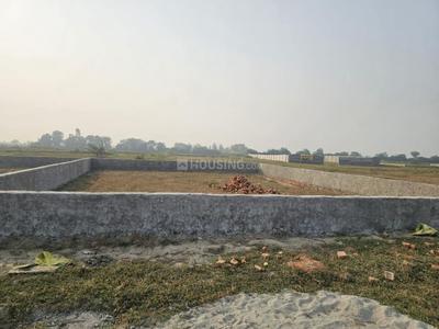 Image of 1000 Sq.ft Residential Plot / Land for sale in Luksar, Greater Noida for Rs. 80000000