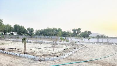 Image of 3546 Sq.ft Residential Plot / Land for sale in Jobner, Jaipur for Rs. 2009400