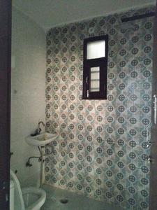 Common Bathroom Image of 800 Sq.ft 2 BHK Apartment / Flat for sale in Deenpur New Delhi for Rs. 4700000