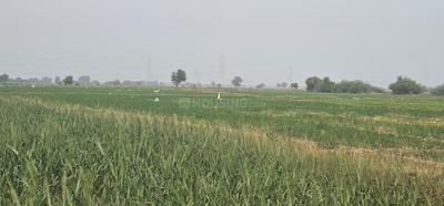 Image of 19000 Sq.ft Residential Plot / Land for sale in Lothal, Ahmedabad for Rs. 47500000