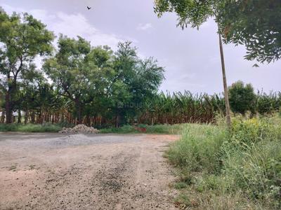Image of 2325 Sq.ft Residential Plot / Land for sale in RS Puram, Coimbatore for Rs. 55000000