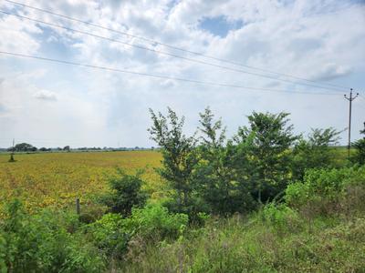 Image of 800 Sq.ft Residential Plot / Land for sale in Indira Nagar, Ujjain for Rs. 2800000