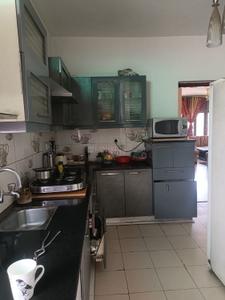 Kitchen Image of 1576 Sq.ft 4 BHK Builder Floor for sale in Sector 52 Gurgaon for Rs. 23000000
