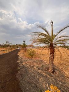 Image of 5000 Sq.ft Residential Plot / Land for sale in Amravati Road, Nagpur for Rs. 1600000
