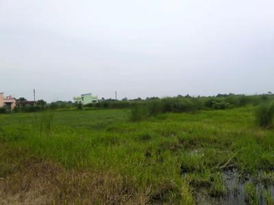 Dream city Plot View 2