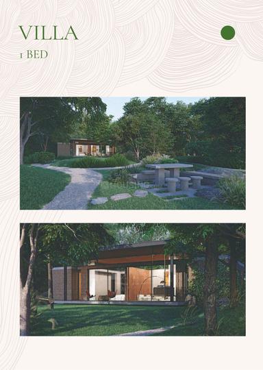 Olive Woods Main Image 1