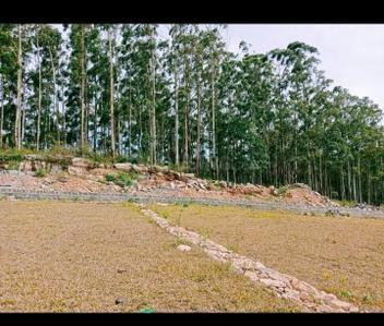 Image of 2300 Sq.ft Residential Plot / Land for sale in Yercaud, Salem for Rs. 6300000