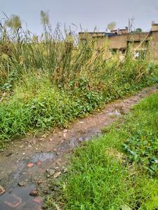 Image of 1440 Sq.ft Residential Plot / Land for sale in Maheshtala, Kolkata for Rs. 2500000