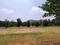 Amangal Plot View 2