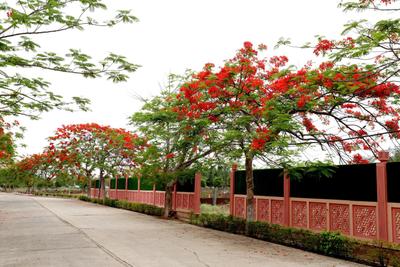 Image of 1500 Sq.ft Residential Plot / Land for sale in Barela, Jabalpur for Rs. 2385000