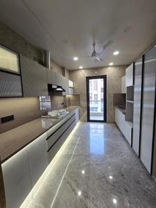 Hall Image of 1800 Sq.ft 3 BHK Independent House for rent in Rajouri Garden New Delhi for Rs. 70000