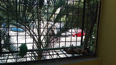 Balcony Image of 1550 Sq.ft 3 BHK Apartment / Flat for rent in Arka Shine, Brookefield Bengaluru for Rs. 50000