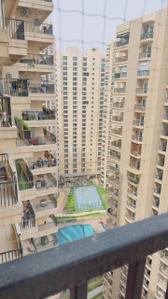 Balcony Image of 530 Sq.ft 1 BHK Apartment / Flat for rent in Gaurs 14th Avenue, Noida Extension Greater Noida for Rs. 16500