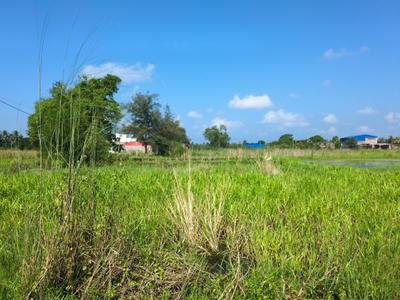 Image of 720 Sq.ft Residential Plot / Land for sale in Wander Valley, Joka, Kolkata for Rs. 259000