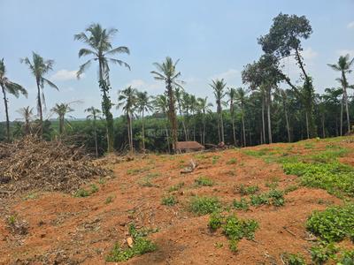 Image of 76176 Sq.ft Residential Plot / Land for sale in Kanjirappally, Kottayam for Rs. 26250000