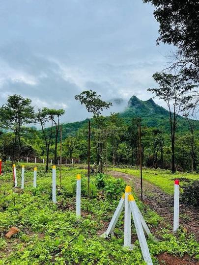 Lack View Karjat Main Image 1