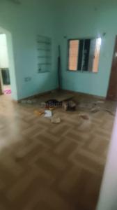 Hall Image of 2100 Sq.ft 2 BHK Builder Floor for rent in Nehru Nagar Bhilai for Rs. 11000