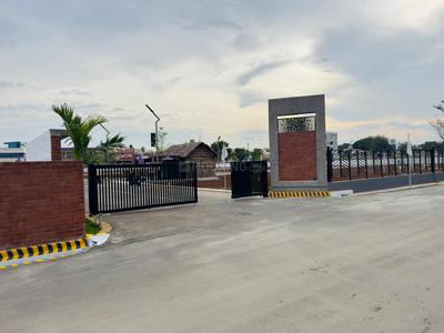 MAASS GRAND Plot View 1