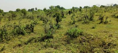 Hingna More Images 2