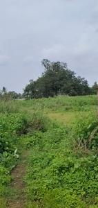 Image of 8100 Sq.ft Residential Plot / Land for sale in Bakrol, Anand for Rs. 11200000