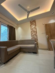 Hall Image of 450 Sq.ft 1 BHK Apartment / Flat for rent in Vijay Nagar Indore for Rs. 20000