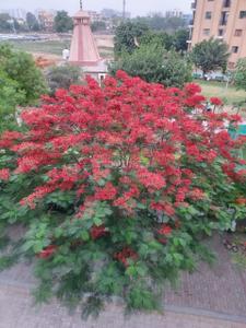 Image of 1440 Sq.ft 3 BHK Apartment / Flat for sale in Sector 92, Gurgaon for Rs. 12100000