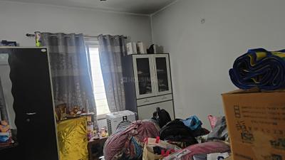 Bedroom Image of 800 Sq.ft 2 BHK Apartment / Flat for rent in Rajkishor Nagar Bilaspur for Rs. 20000