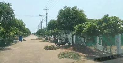 Image of 1980 Sq.ft Residential Plot / Land for sale in Ramanayapeta, Kakinada for Rs. 4840000