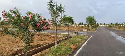 Image of 1350 Sq.ft Residential Plot / Land for sale in Chinna Tekur, Kurnool for Rs. 990000