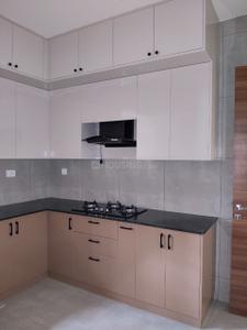 Kitchen Image of 1288 Sq.ft 2 BHK Apartment / Flat for rent in M.G. Road Kochi for Rs. 45000