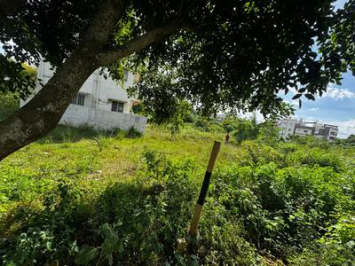 Residential Plot