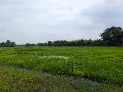 Image of 2880 Sq.ft Residential Plot / Land for sale in Natures Paradise, Joka, Kolkata for Rs. 800000