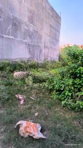Image of 540 Sq.ft Residential Plot / Land for sale in GSR Kalp City, Bijnor, Lucknow for Rs. 2300000