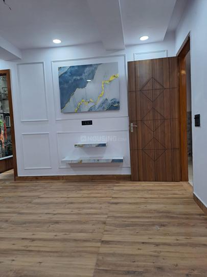 Naitik Developer Main Image 1