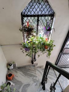 Balcony Image of 550 Sq.ft 1 RK Builder Floor for rent in Khirki Extension New Delhi for Rs. 14000