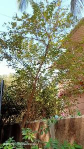 Image of 830 Sq.ft 2 BHK Villa for sale in Shelu, Thane for Rs. 7200000