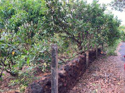 Image of 99000 Sq.ft Residential Plot / Land for sale in Khed, Chiplun for Rs. 10000000