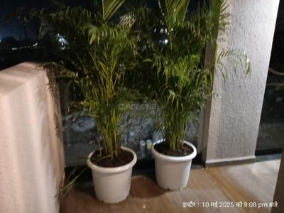 Image of 1500 Sq.ft 3 BHK Independent House for sale in Nipania, Indore for Rs. 11500000