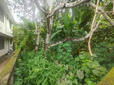 Image of 2178 Sq.ft Residential Plot / Land for sale in Vembayam, Thiruvananthapuram for Rs. 1750000