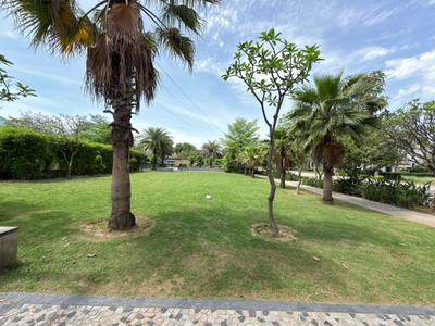 Image of 2709 Sq.ft Residential Plot / Land for sale in Omaxe Chandigarh Extension Plot, New Chandigarh, Chandigarh for Rs. 36000000