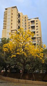 Image of 2650 Sq.ft 3 BHK Apartment / Flat for sale in Kumar Princetown Royal, Mohammed Wadi, Pune for Rs. 21500000