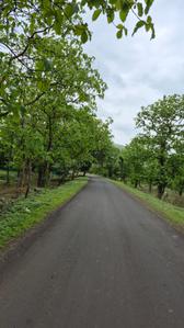 Image of 5000 Sq.ft Residential Plot / Land for sale in Simrol, Indore for Rs. 1500000