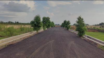 Image of 1250 Sq.ft Residential Plot / Land for sale in Bodri, Bilaspur for Rs. 1500000