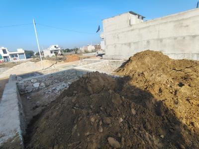 Society Plot Plot View 3