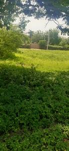 Sardar garm Site Plan 2