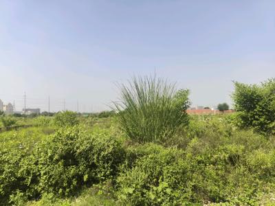 Image of 100 Sq.ft Residential Plot / Land for sale in Bhanauta, Greater Noida for Rs. 3512600
