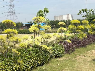Image of 1008 Sq.ft Residential Plot / Land for sale in Tech Zone, Greater Noida for Rs. 8000000
