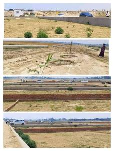 Image of 1500 Sq.ft Residential Plot / Land for sale in Maniram, Gorakhpur for Rs. 1051500